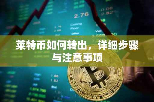 莱特币如何转出，详细步骤与注意事项