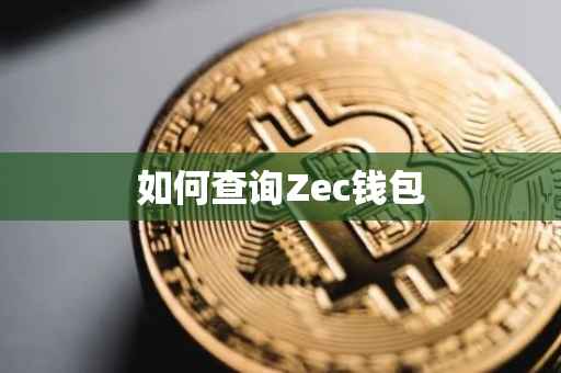 如何查询Zec钱包
