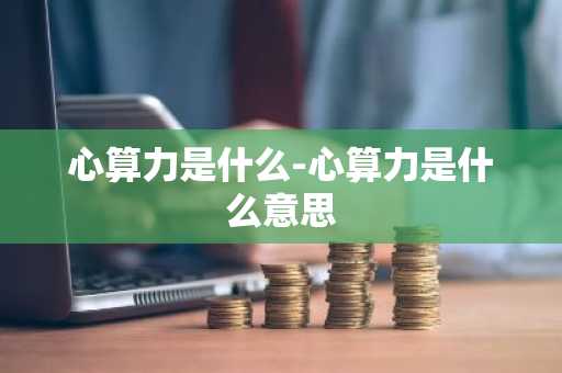 心算力是什么-心算力是什么意思
