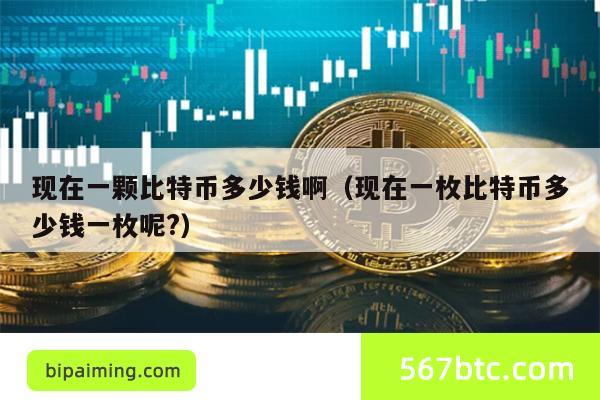 现在一颗比特币多少钱啊（现在一枚比特币多少钱一枚呢?）