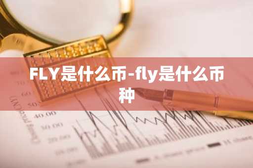 FLY是什么币-fly是什么币种
