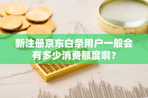 新注册京东白条用户一般会有多少消费额度啊？