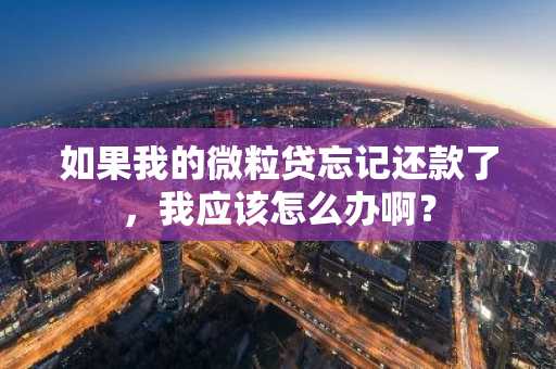如果我的微粒贷忘记还款了，我应该怎么办啊？