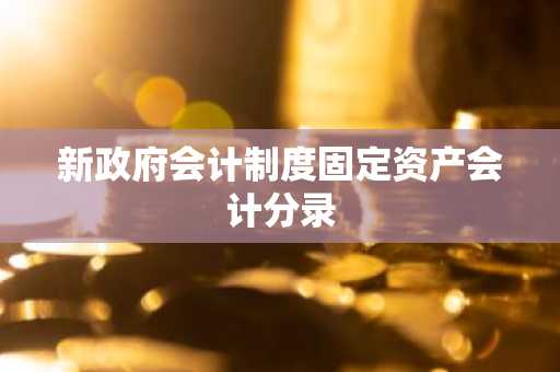 新政府会计制度固定资产会计分录