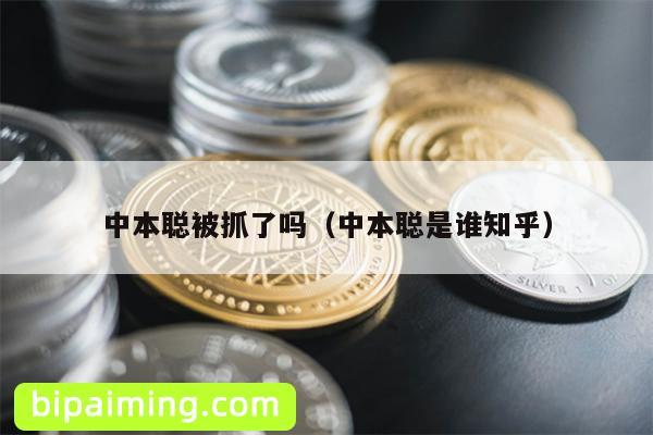 中本聪被抓了吗（中本聪是谁知乎）