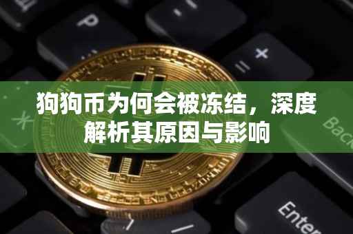 狗狗币为何会被冻结，深度解析其原因与影响
