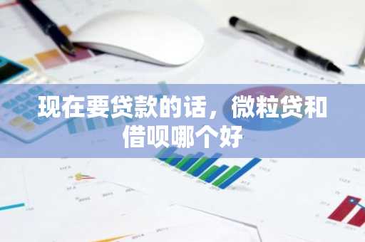 现在要贷款的话，微粒贷和借呗哪个好
