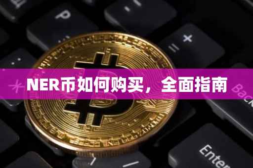 NER币如何购买，全面指南