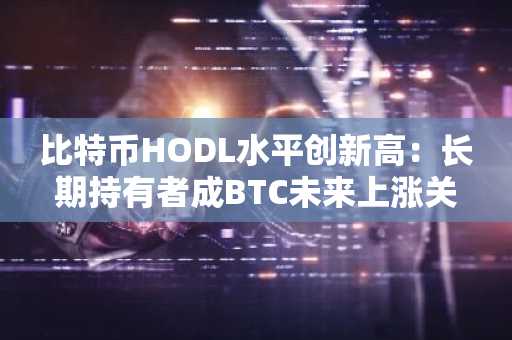 比特币HODL水平创新高：长期持有者成BTC未来上涨关键