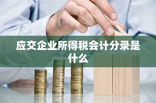 应交企业所得税会计分录是什么