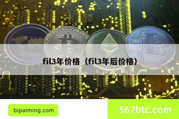 fil3年价格（fil3年后价格）