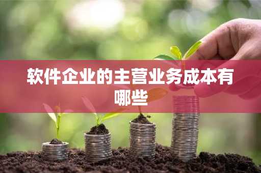 软件企业的主营业务成本有哪些