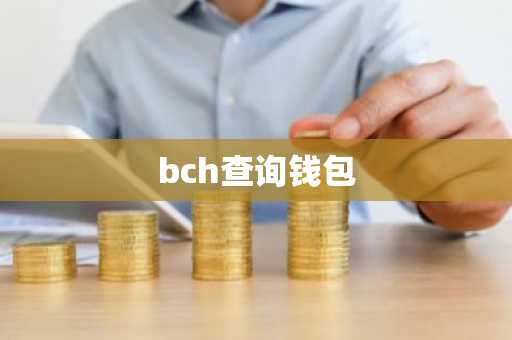 bch查询钱包