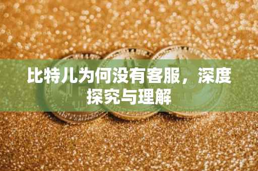 比特儿为何没有客服，深度探究与理解