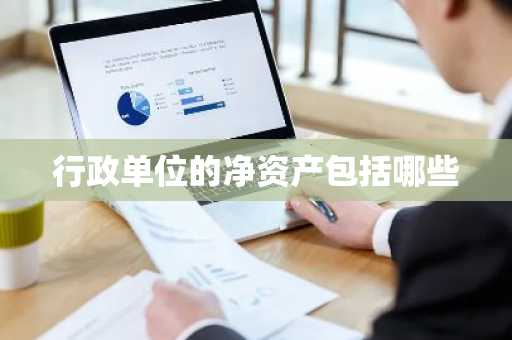 行政单位的净资产包括哪些