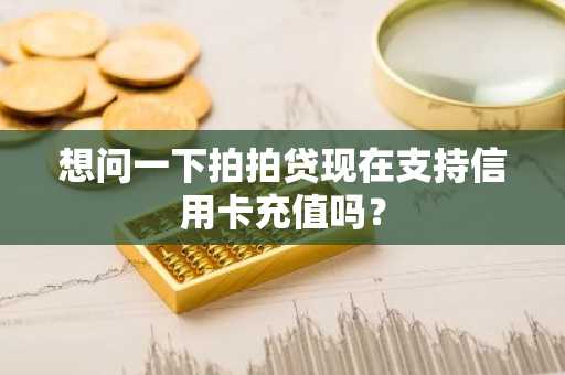 想问一下拍拍贷现在支持信用卡充值吗？