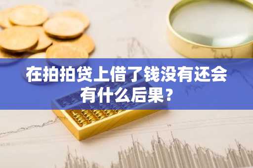 在拍拍贷上借了钱没有还会有什么后果？