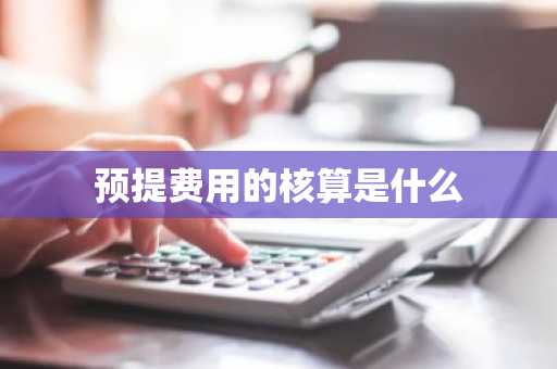 预提费用的核算是什么