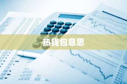 热钱包意思