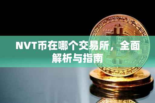 NVT币在哪个交易所，全面解析与指南