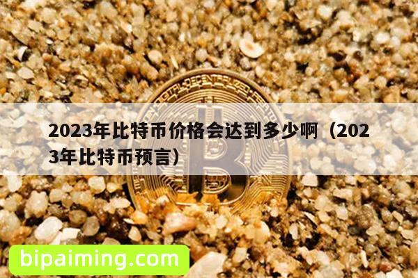 2023年比特币价格会达到多少啊（2023年比特币预言）