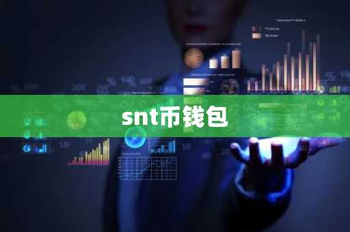 snt币钱包