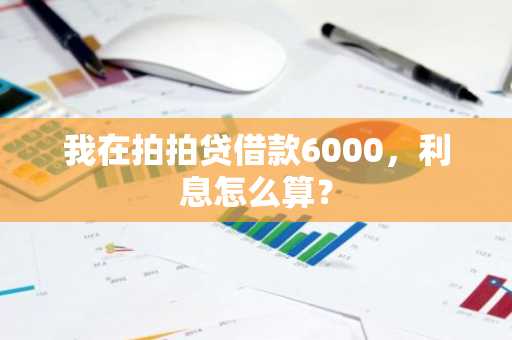 我在拍拍贷借款6000，利息怎么算？