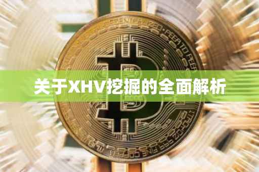 关于XHV挖掘的全面解析