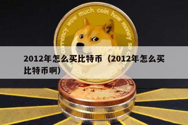 2012年怎么买比特币（2012年怎么买比特币啊）