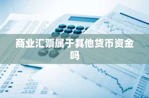 商业汇票属于其他货币资金吗