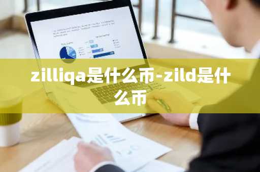 zilliqa是什么币-zild是什么币
