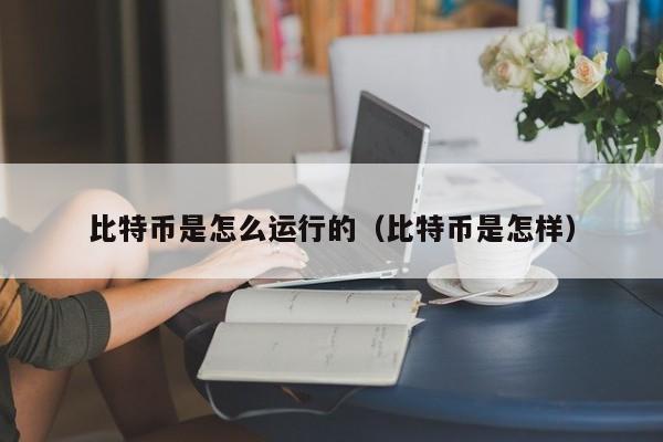 比特币是怎么运行的（比特币是怎样）