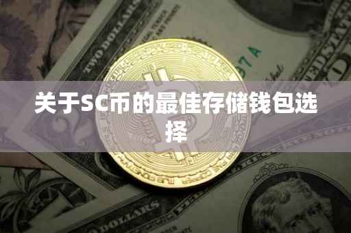 关于SC币的最佳存储钱包选择