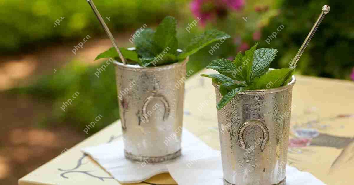 Mint Julep食谱 – 如何使肯塔基州德比的官方饮料更令人耳目一新