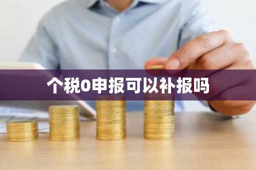 个税0申报可以补报吗