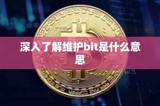 深入了解维护bit是什么意思