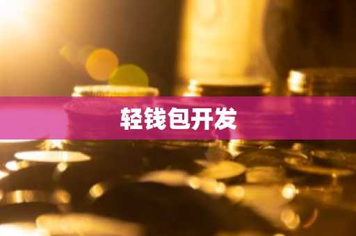 轻钱包开发