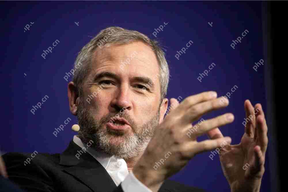 Ripple首席执行官Brad Garlinghouse表示对即将在CME Group上发布XRP期货的热情