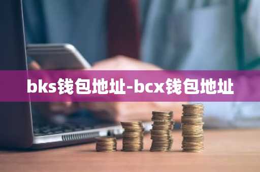 bks钱包地址-bcx钱包地址