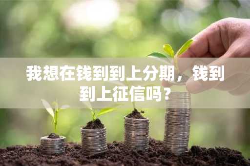 我想在钱到到上分期，钱到到上征信吗？