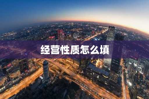 经营性质怎么填