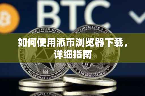 如何使用派币浏览器下载，详细指南