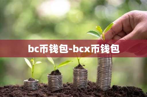 bc币钱包-bcx币钱包