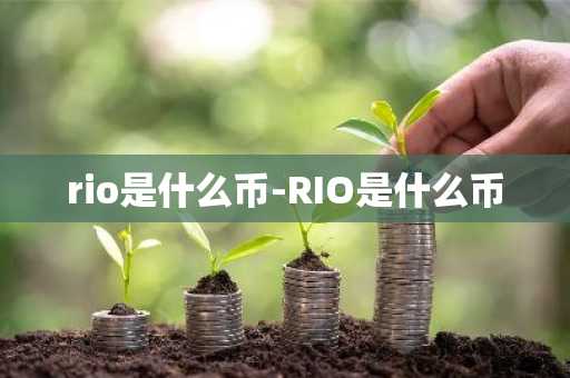 rio是什么币-RIO是什么币