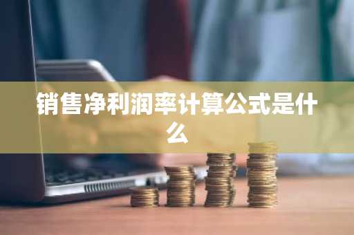 销售净利润率计算公式是什么