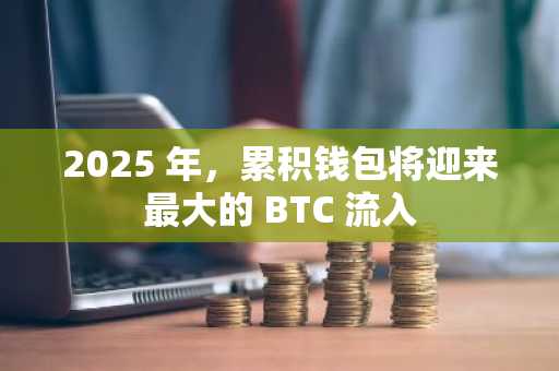 2025 年，累积钱包将迎来最大的 BTC 流入