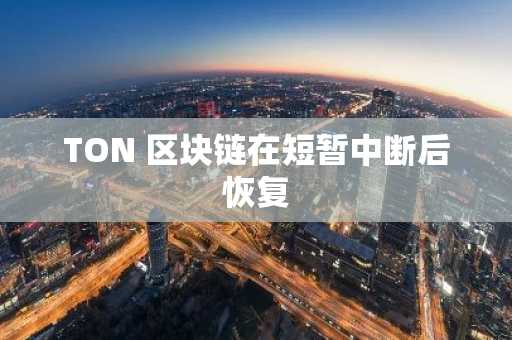 TON 区块链在短暂中断后恢复