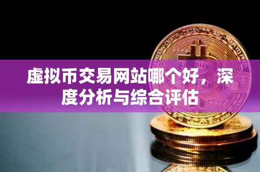虚拟币交易网站哪个好，深度分析与综合评估