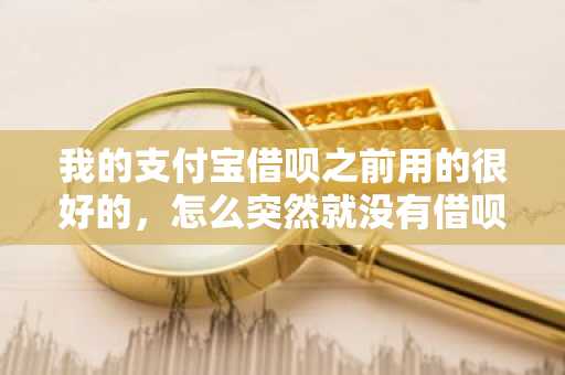 我的支付宝借呗之前用的很好的，怎么突然就没有借呗额度了，这是怎么回事？