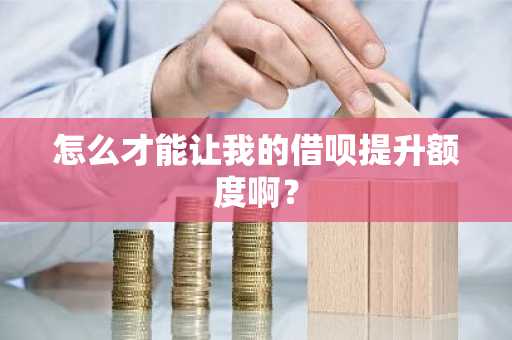 怎么才能让我的借呗提升额度啊？